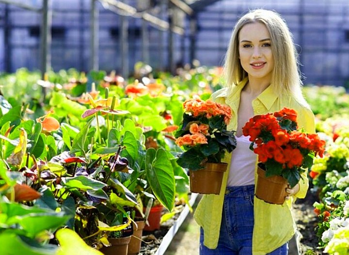 Decoradyard Garden Tips by DecoratorAdvice for Better Outdoor Spaces