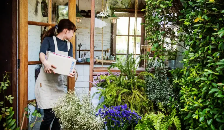 Decoradyard Garden Tips by DecoratorAdvice: Create a Beautiful and Functional Outdoor Space