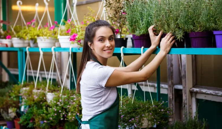 Tips Decoradyard: Guide to Designing a Beautiful and Functional Outdoor Space